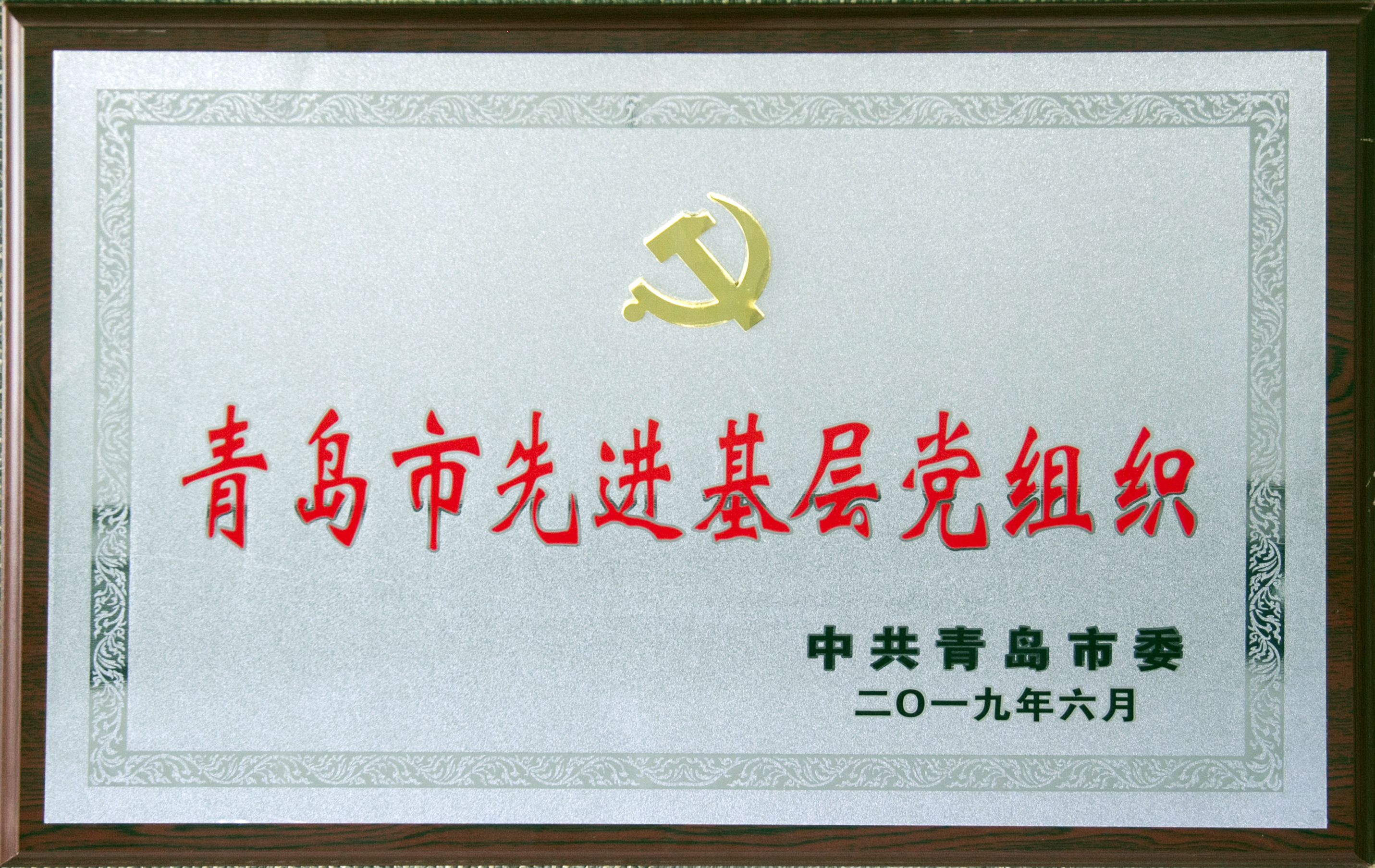 青島市先進(jìn)黨組織